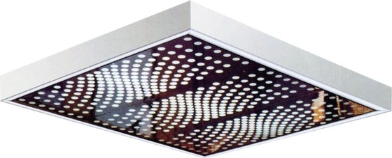 20 ব্যক্তি যাত্রী লিফট লিফট